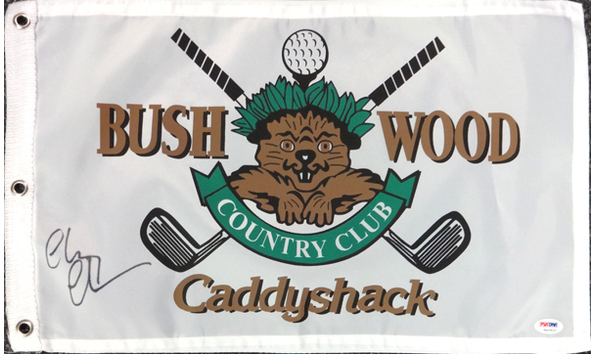 Big image chevy chase flag