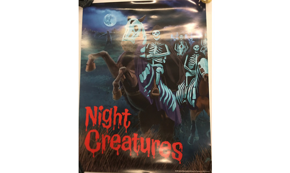 Big image mini magick20221118 31376 l18qdv