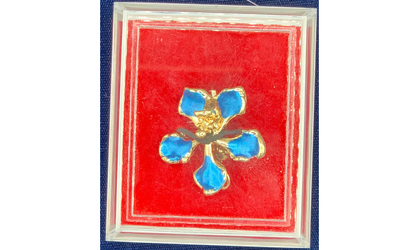 Big image mini magick20221118 31376 1s18t9z