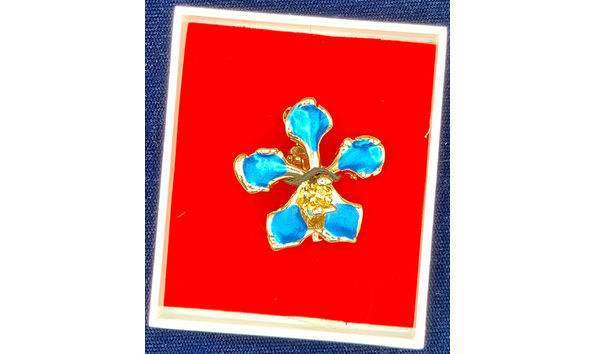 Big image mini magick20221118 31376 14weq0z