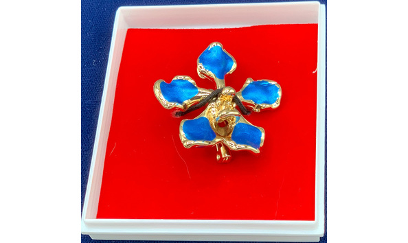 Big image mini magick20221118 31376 y1z44d