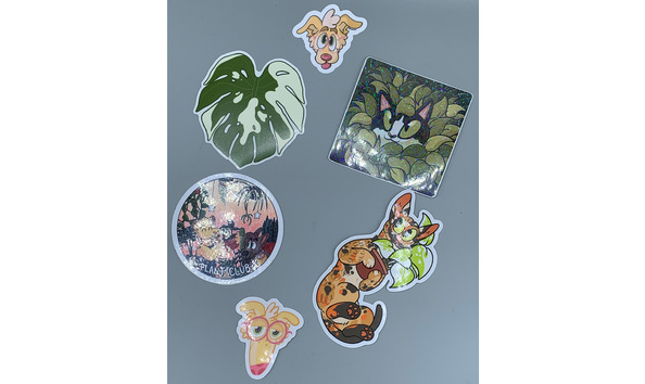 Big image mini magick20221118 31376 fnxkp2