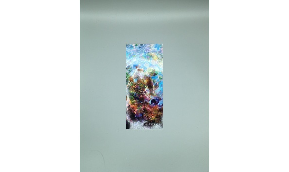 Big image mini magick20221118 31376 rjnvbz