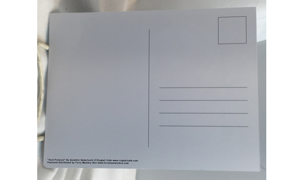 Big image mini magick20221118 31376 ul8u7m