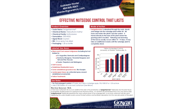 Big image sedgehammer sheet 2