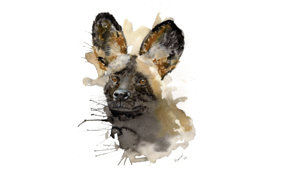 Big image screen shot 2022 11 18 at 7.33.27 pm