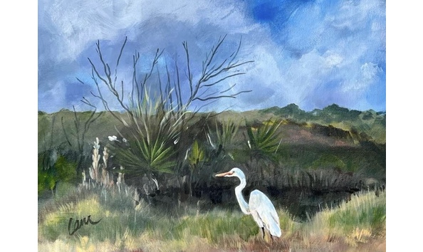Big image loveland egret