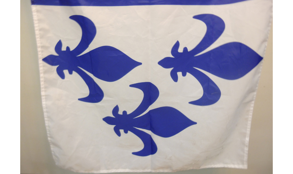 Big image 202102decor003 3   fleur de lis flag