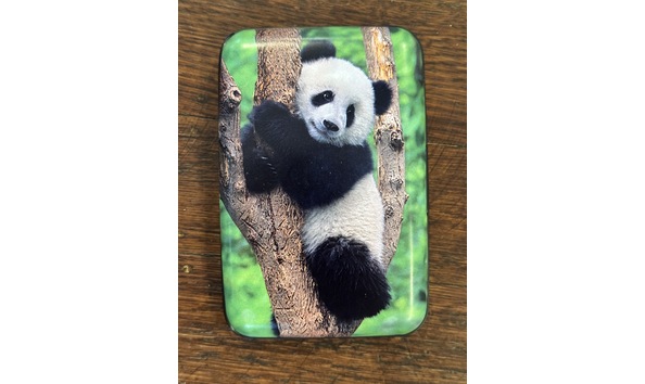 Big image img 9854 2