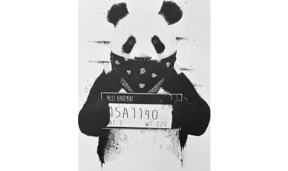 Big image pandapenitentiarycanvasart1