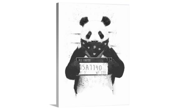 Big image screen shot 2022 11 28 at 11.48.34 am