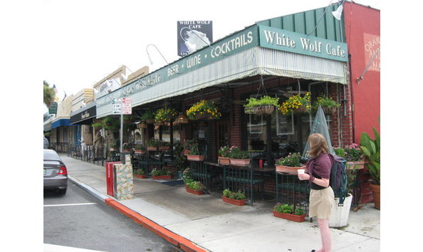 Big image white wolf  1 