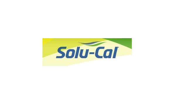 Big image solu cal