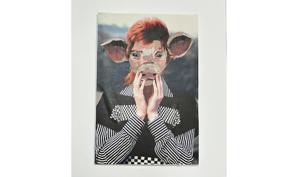 Big image ashford cga artwork 9.1