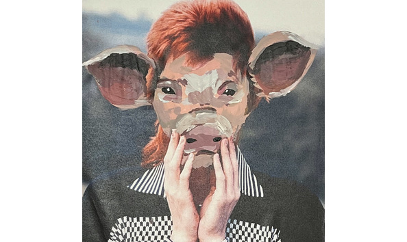 Big image ashford cga artwork 9.2