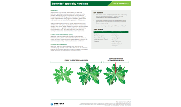 Big image defendor sales sheet image 2