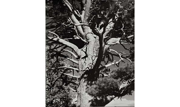 Big image untitled 3 copy 2