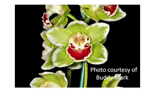 Big image cym. eaglewood  memoria takaki  am jc aos s csawithcourtesy