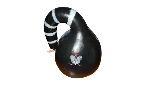 Big image 20230122 205403417 ios