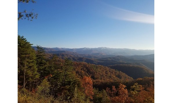 Big image 45837878 2183143118396549 8613848677846351872 o2