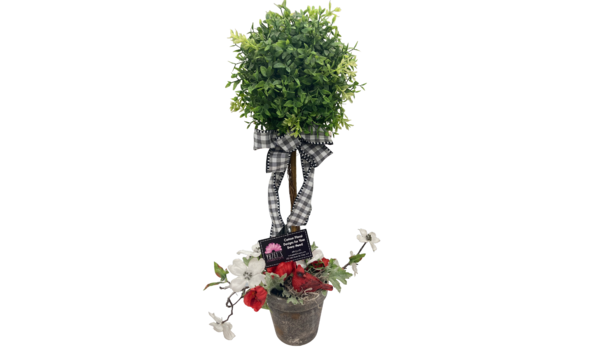 Big image photoroom 20230118 195047