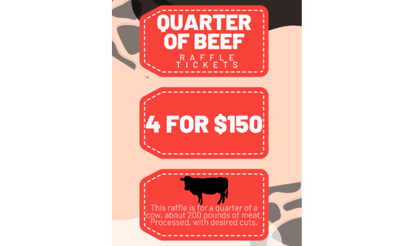 Big image orange cream modern special discount