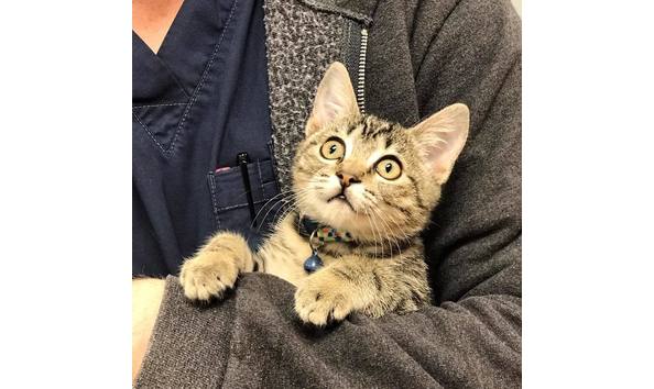 Big image mini magick20230207 38959 al1p0h