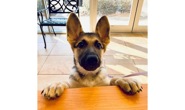 Big image mini magick20230207 38959 b34sa5