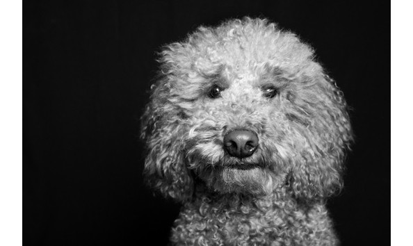 Big image mini magick20171214 10769 16lyw1p