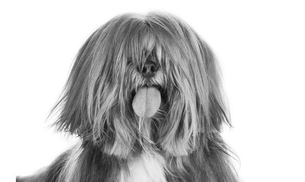 Big image mini magick20171214 10769 i76m0g