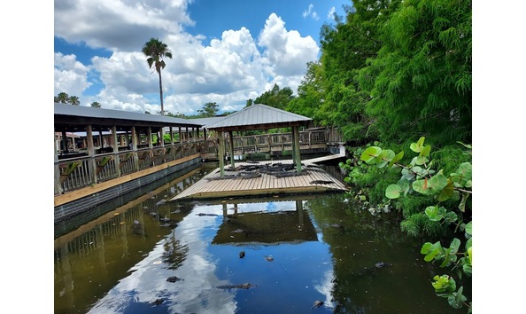 Big image gatorland3