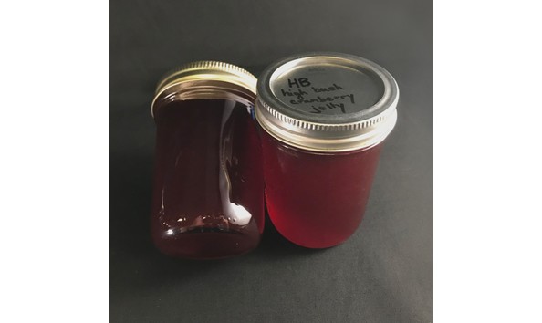 Big image photo feb 08 2023  4 48 39 pm edited cranberry jelly