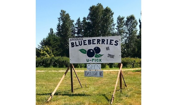 Big image big image hannahblueberries edited