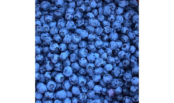 Big image big image just blueberries