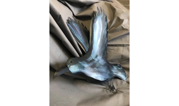 Big image photo feb 13 2023  12 29 43 pm resized final