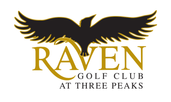 Big image raven logo