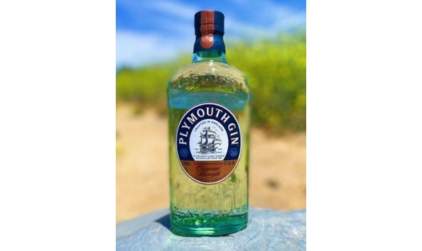 Big image gin