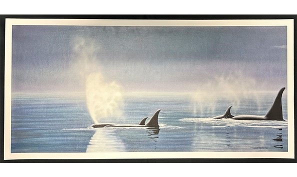 Big image img 1426 edited