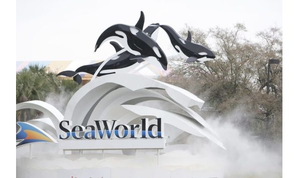 Big image www.simplemost.com97030782 sea world e15470 218e45be40cae16f7fb5e95a973b10e15d9eedcf 750x500