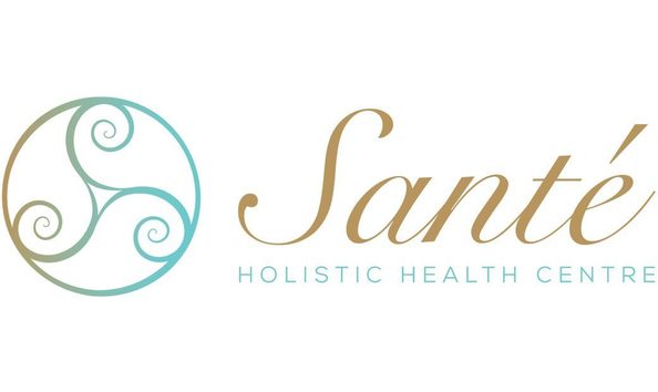 Big image sante logo