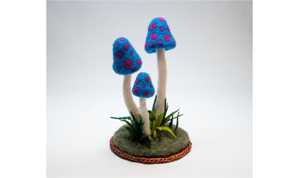 Big image tiny giants mushroom