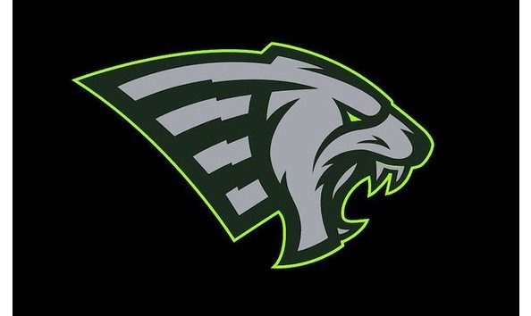 Big image xfl guardians