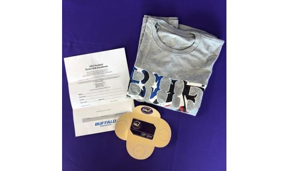 Big image a 13 image 1 resized