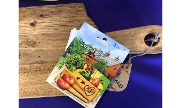 Big image b 12 image 2 resized