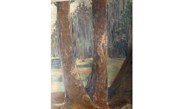 Big image bench in the woods