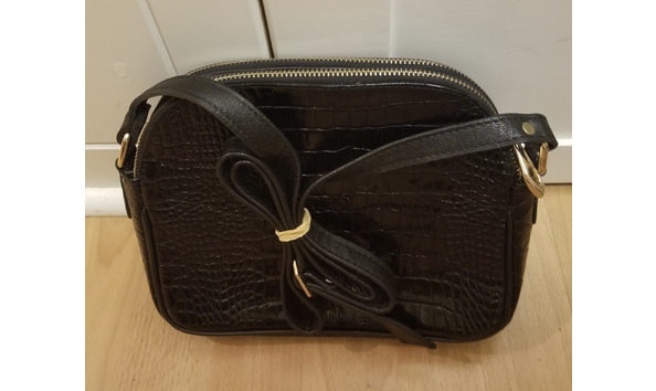 Big image resized 20230228 194035