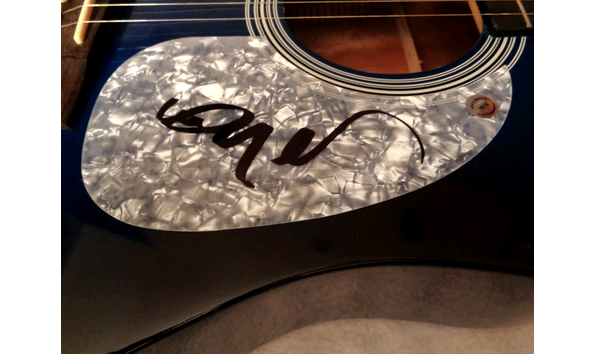 Big image willie nelson 2