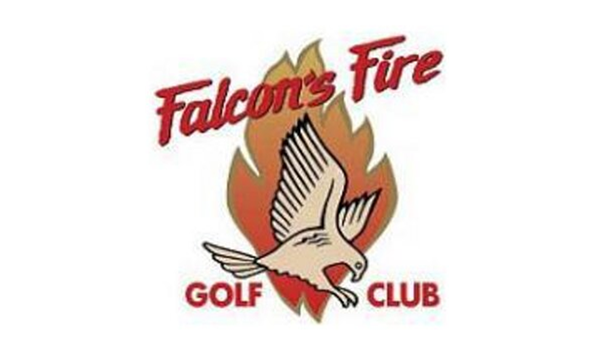 Big image falcon s fire