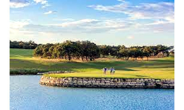 Big image big image big image kissing tree 2