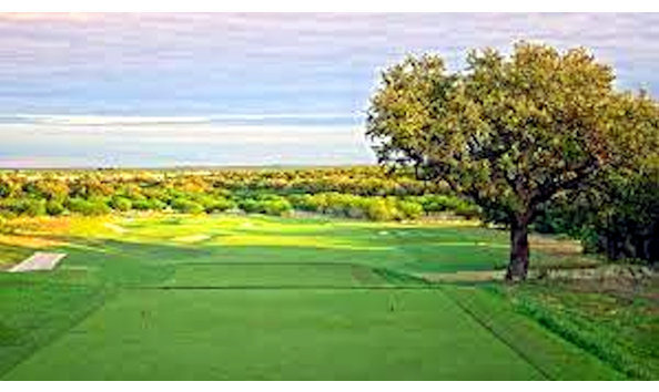 Big image big image big image kissing tree 3